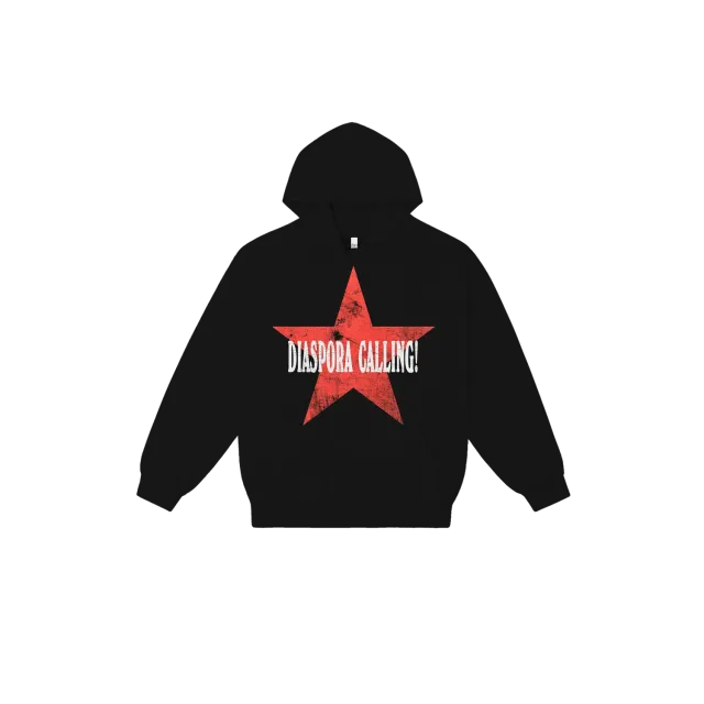 Lauryn Hill DC hoodie officiële tour
