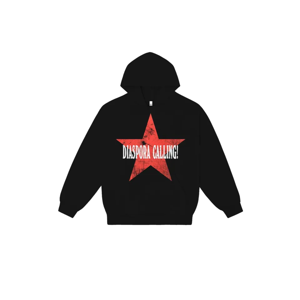 Lauryn Hill DC hoodie officiële tour