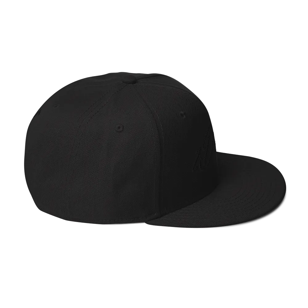 Razel zDaddy Snapback pet zwart wolmix
