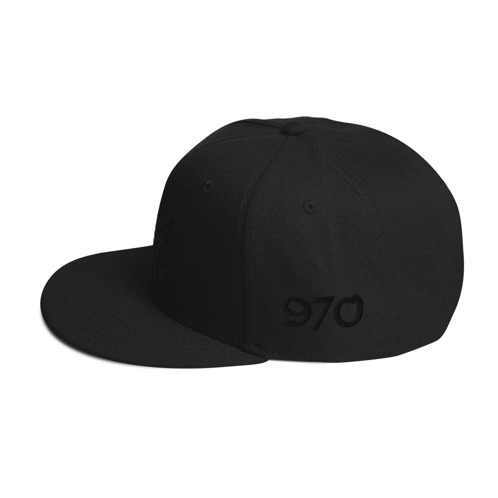 Razel Fort Collins snapback pet zwart wolmix
