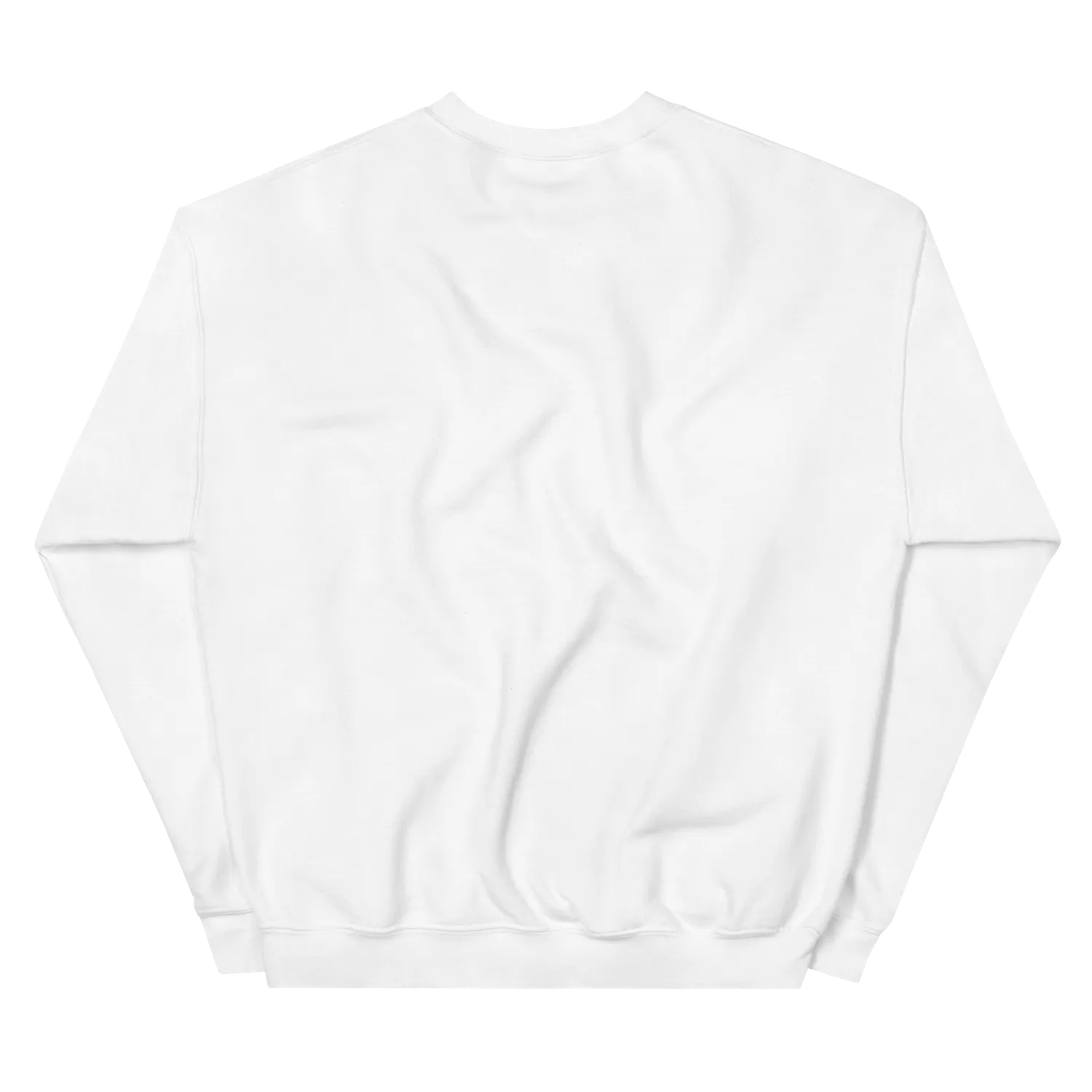 Razel Embroidered Crewneck sweater zwart