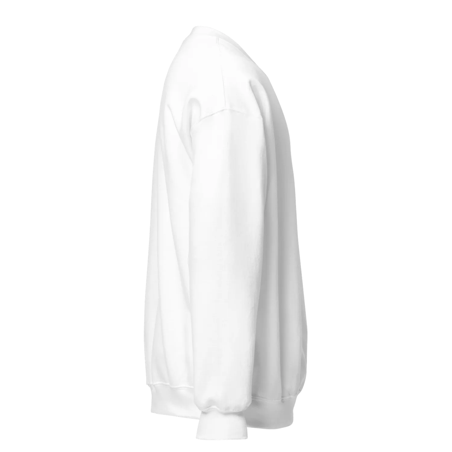 Razel Embroidered Crewneck sweater zwart