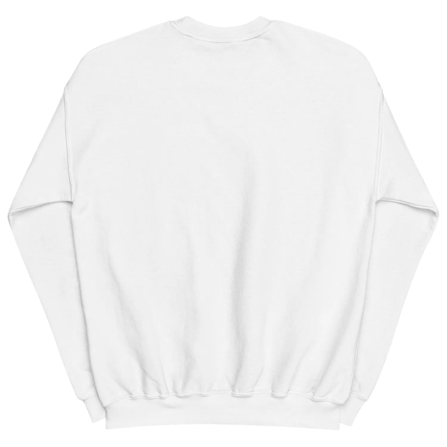 Razel Embroidered Crewneck sweater zwart