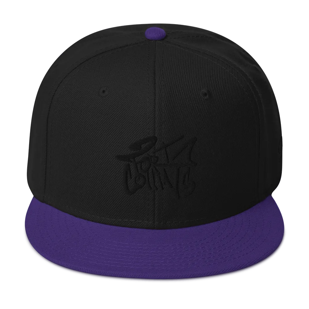 Razel Fort Collins snapback pet zwart wolmix