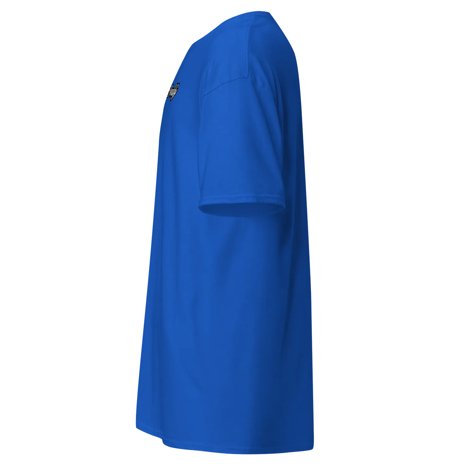 Razel Inverted zDaddy T-Shirt borstlogo zwart