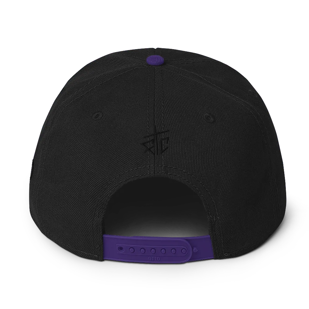 Razel Fort Collins snapback pet zwart wolmix