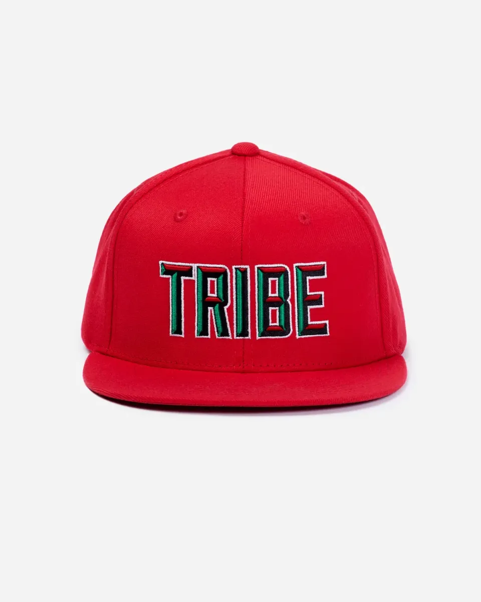 Tribe Called Quest Tribe Block snapback pet rood verstelbaar