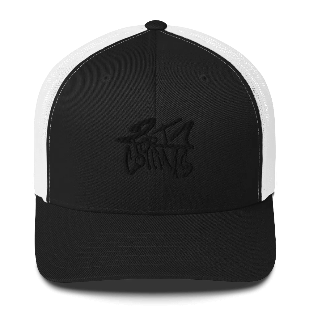 Razel Fort Collins trucker pet zwart mesh