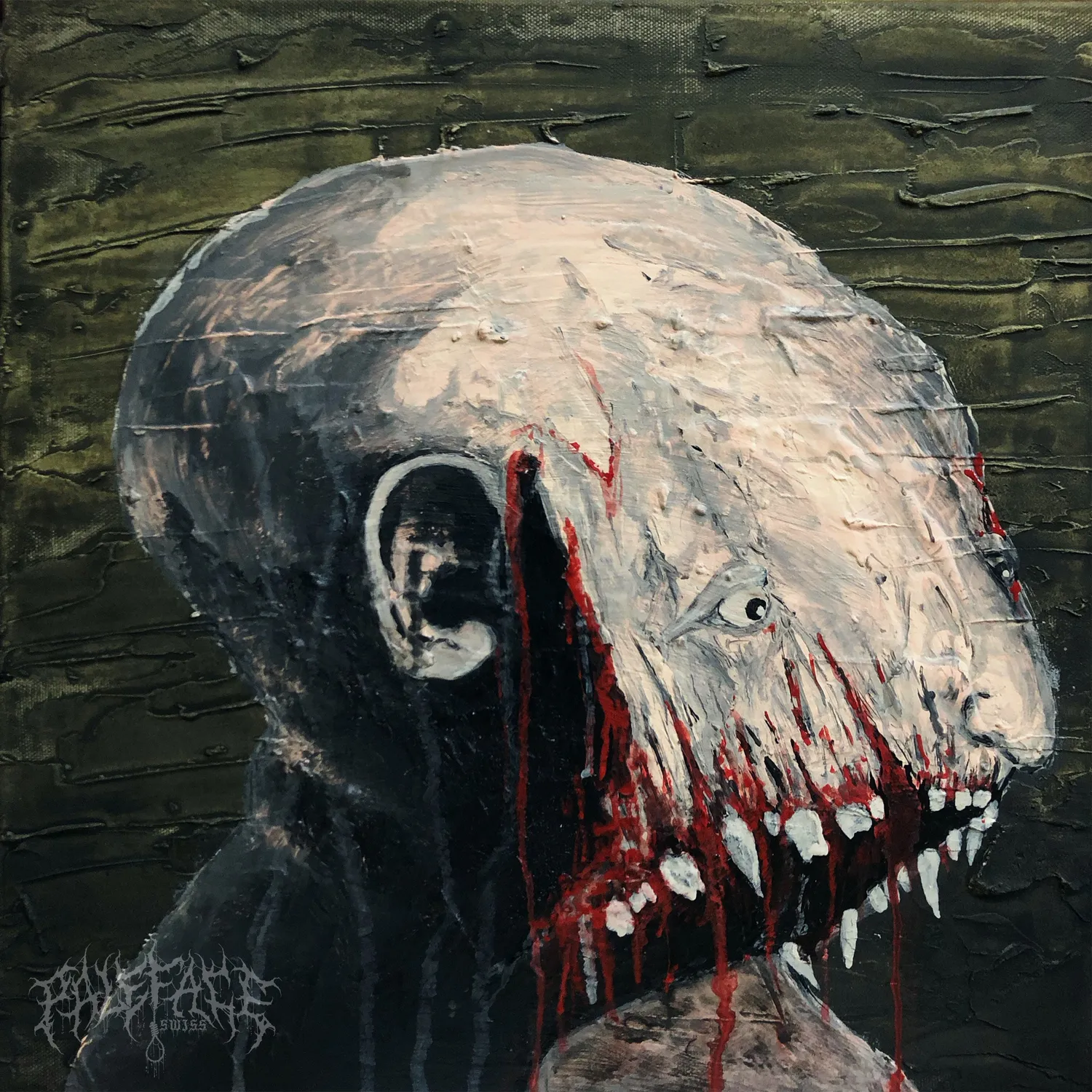 Paleface Swiss The Singles gitaarboek digitaal