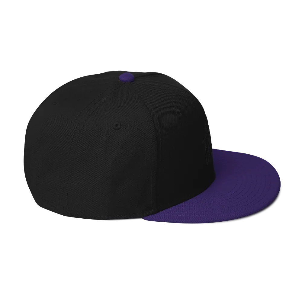 Razel Fort Collins snapback pet zwart wolmix