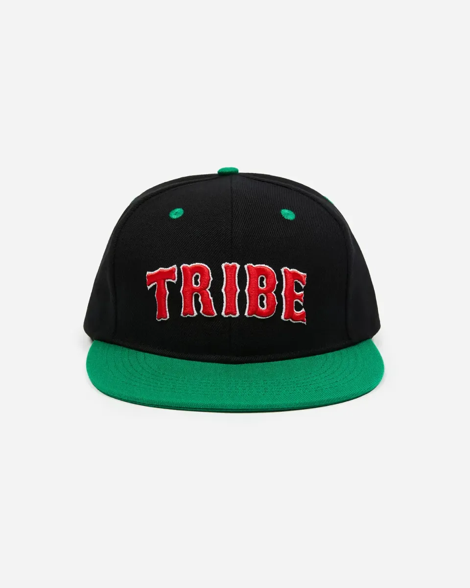 Tribe Called Quest ATCQ Two Tone Snapback Pet Groen-Zwart